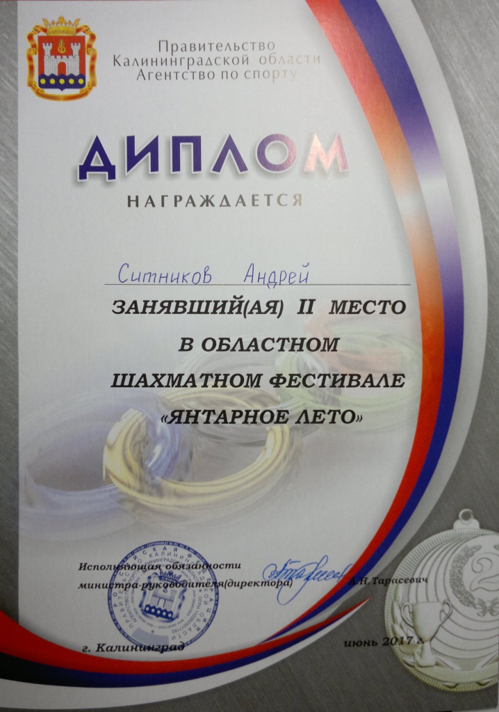 Ситников А. II-е место фест. Янтарное лето 2017г. (1).jpg