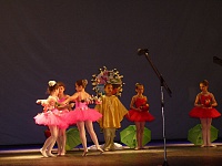 P1220117.JPG