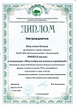 Диплом10003.jpg
