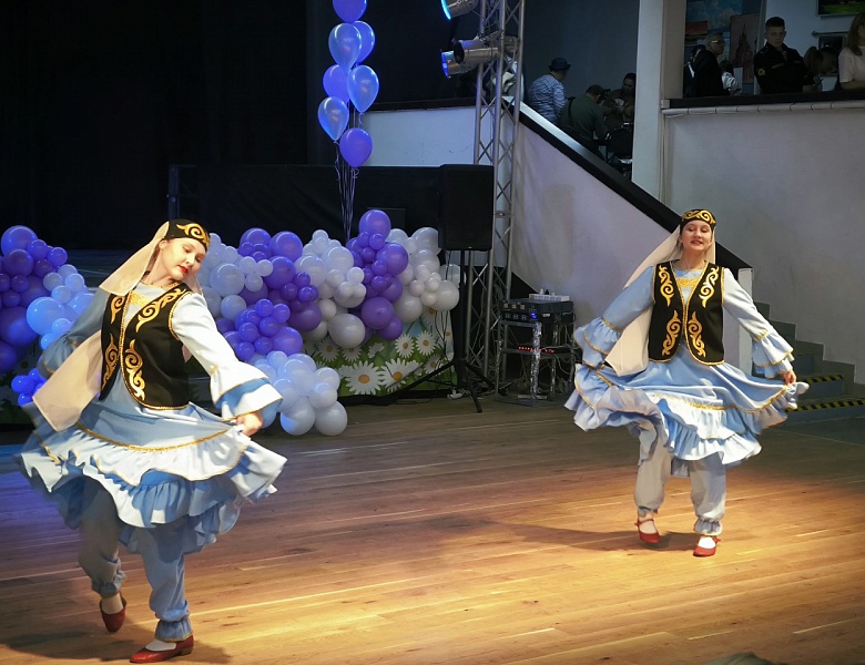 Фестиваль дружбы народов "В единстве наша сила"