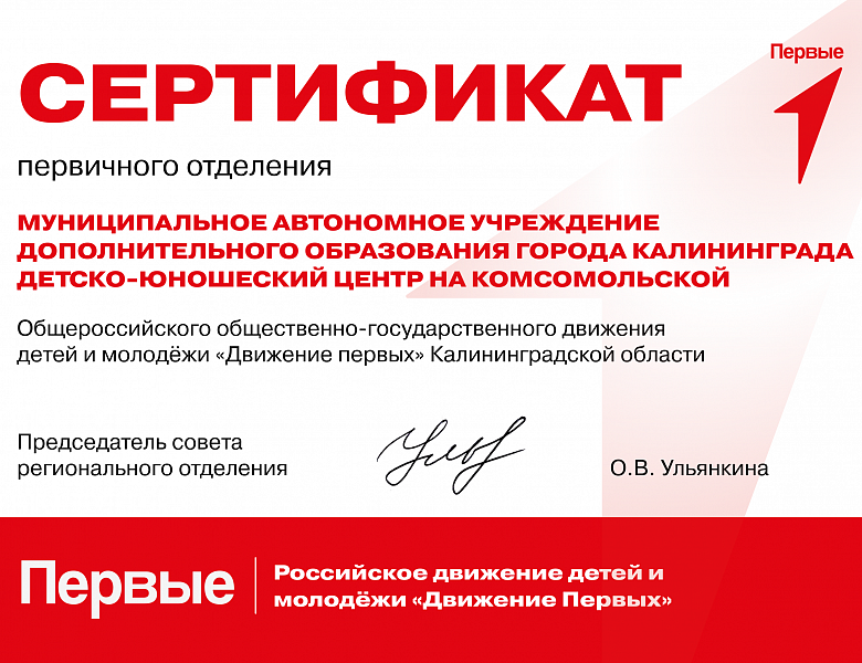 Всероссийское "Движение первых"