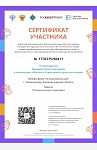 Пальмин Иван, сертификат участника Всероссийской ежегодной патриотической акции «Летопись сердец», 06.2025