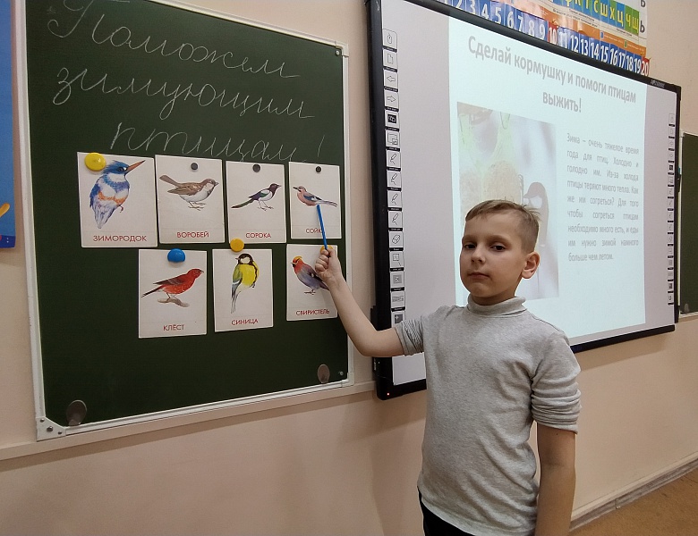 Эко-волонтёрская акция «Зимняя помощь пернатым». Областной конкурс кормушек из природного материала.