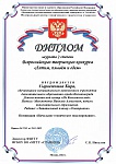 Сыроежкина Кира - Летим.._page-0001.jpg