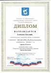 Диплом Злоказов Евгений (1)-1